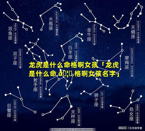 龙虎是什么命格啊女孩「龙虎是什么命 🦅 格啊女孩名字」